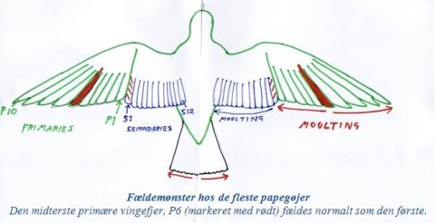 Fældemønster